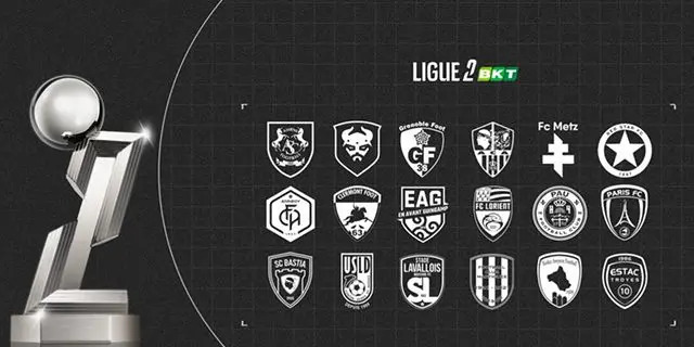 Affiche logo ligue 2